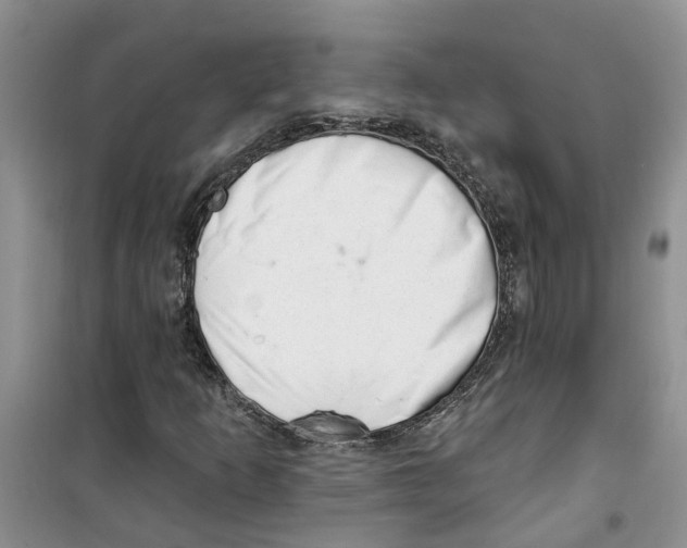 X0000100961253200807221137