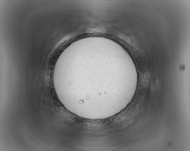 X0000100961254200807221137