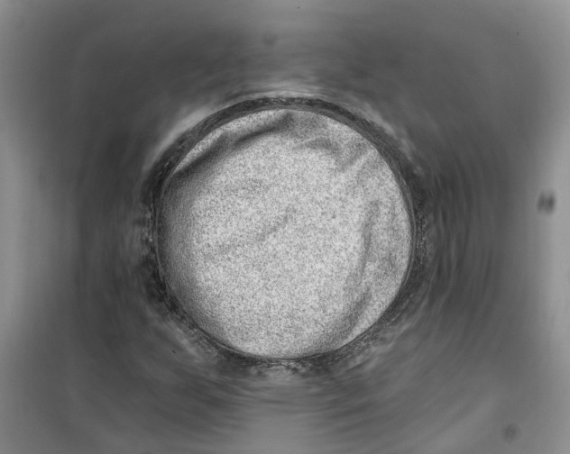 X0000100961255200807221137