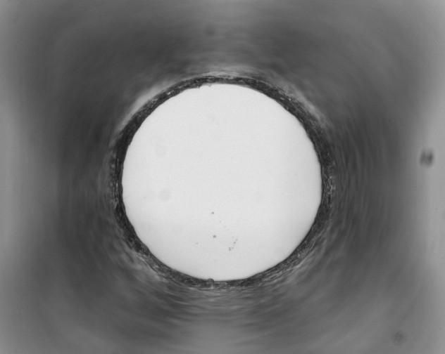 X0000100961256200807221137