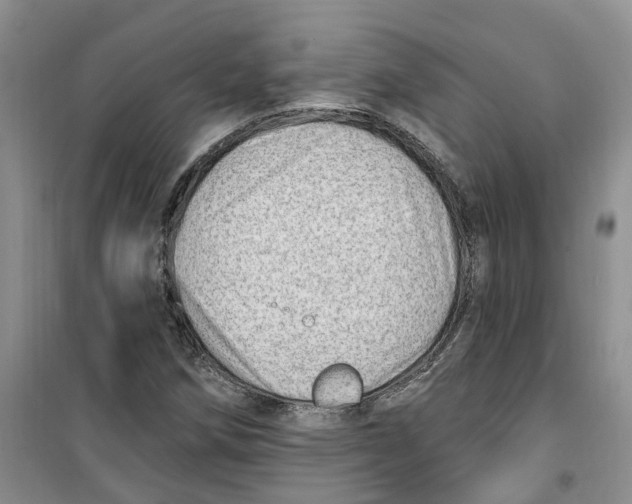 X0000100961258200807221137