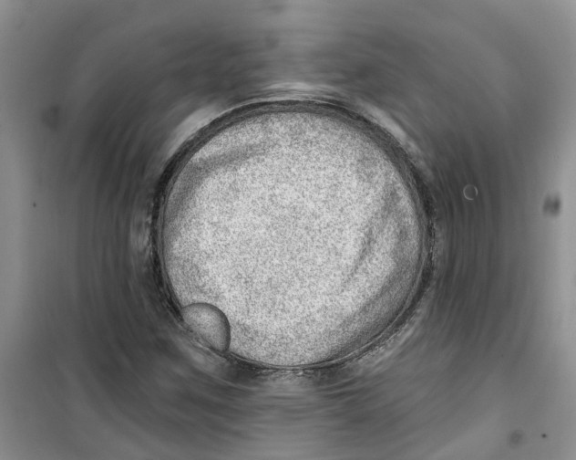 X0000100961259200807221137