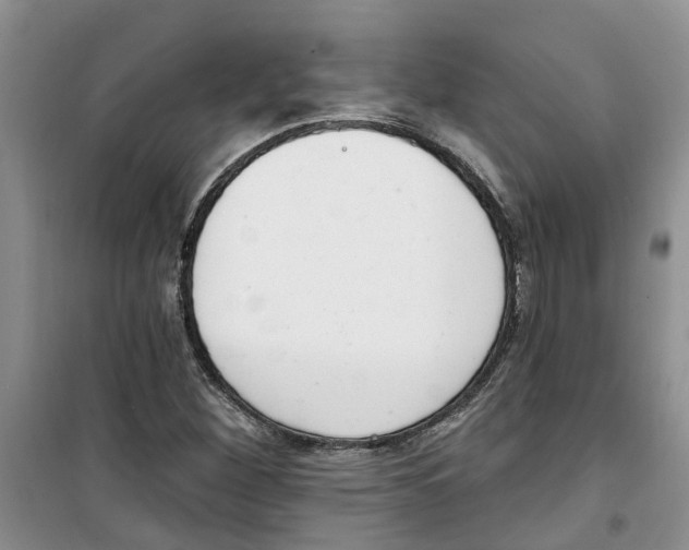 X0000100961260200807221137