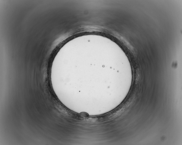 X0000100961261200807221137