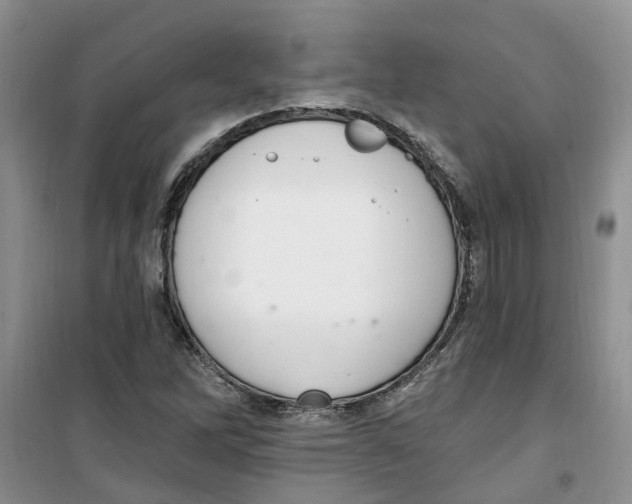 X0000100961262200807221137