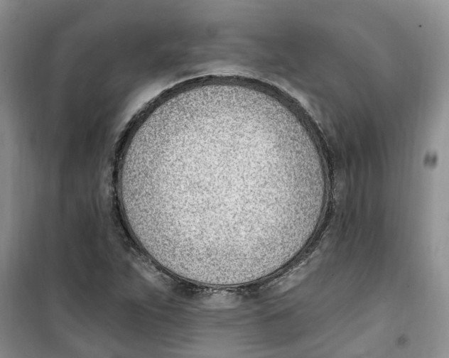 X0000100961263200807221137