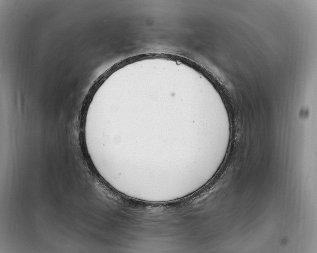 X0000100961264200807221137