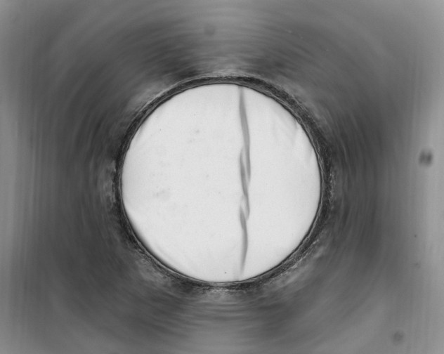 X0000100961265200807221137