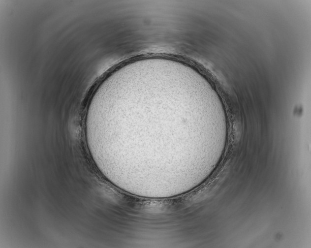 X0000100961266200807221137