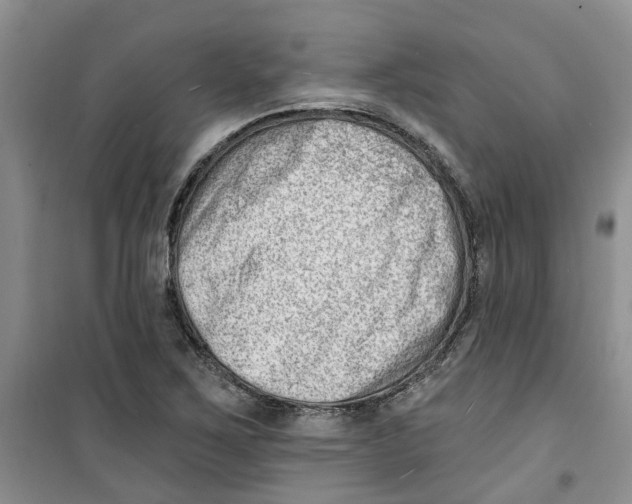 X0000100961267200807221137