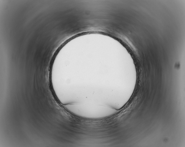 X0000100961268200807221137