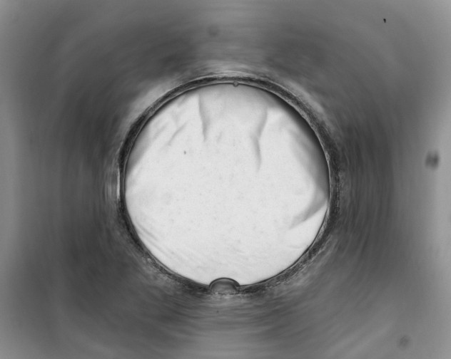 X0000100961269200807221136