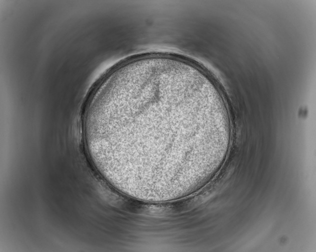 X0000100961271200807221136