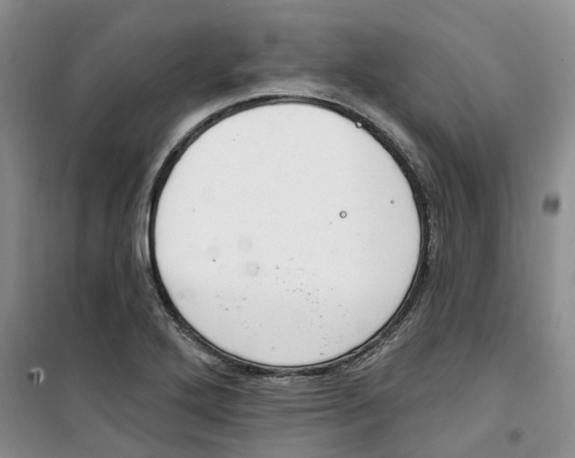 X0000100961272200807221136