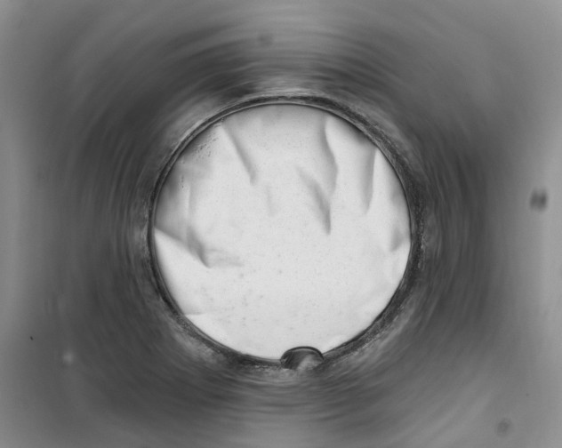 X0000100961273200807221136