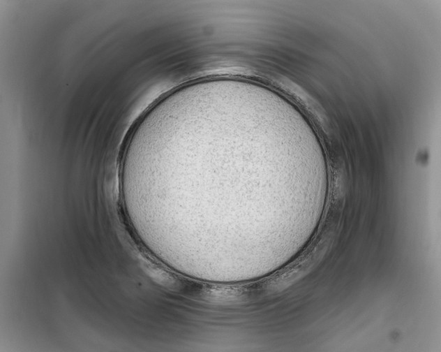 X0000100961274200807221136