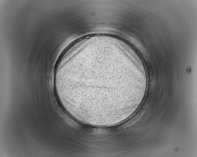 X0000100961275200807221136