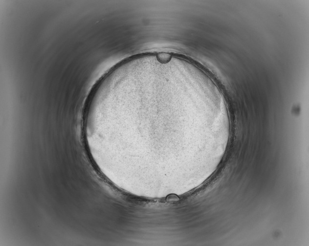 X0000100961277200807221136