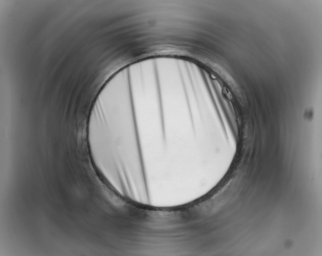 X0000100961281200807221136