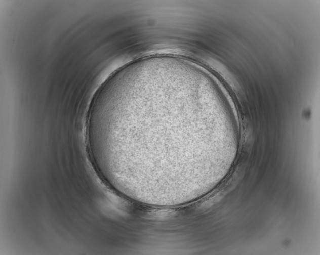 X0000100961282200807221136