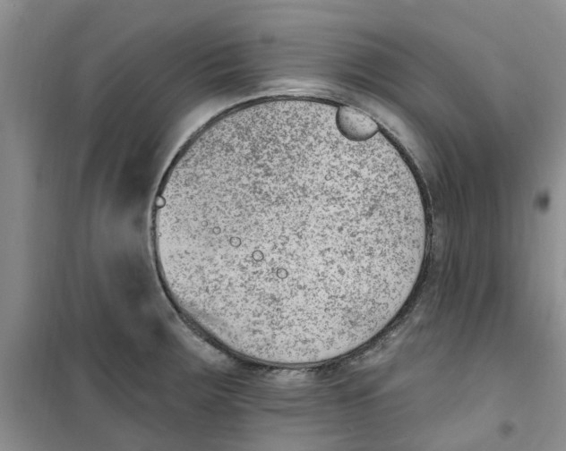 X0000100961283200807221136