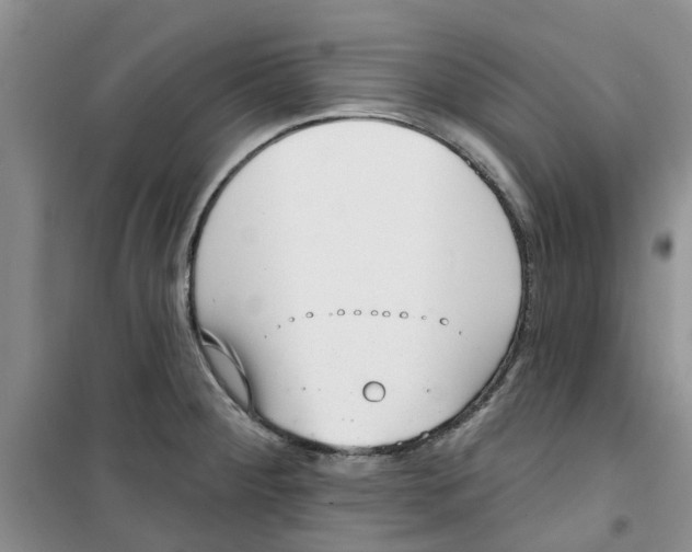 X0000100961284200807221136