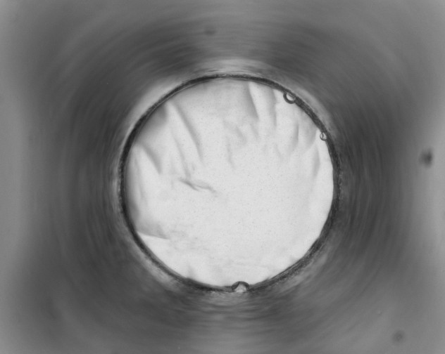 X0000100961285200807221136