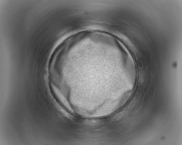 X0000100961286200807221136