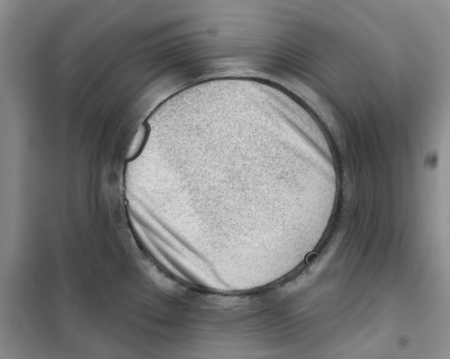 X0000100961289200807221136