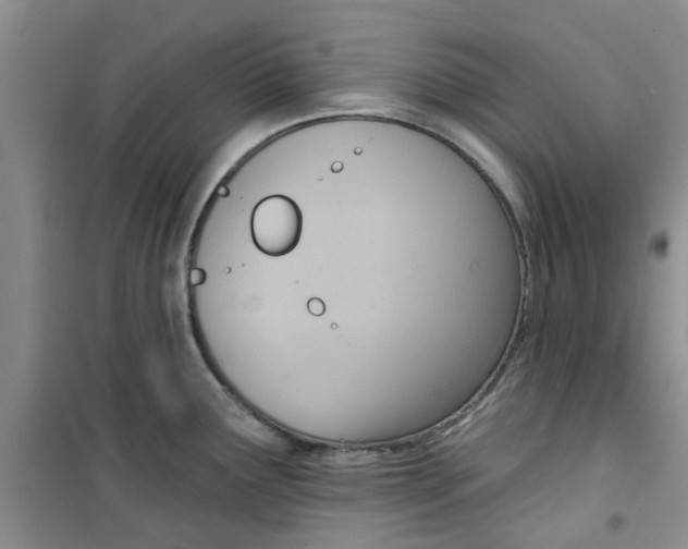 X0000100961291200807221136