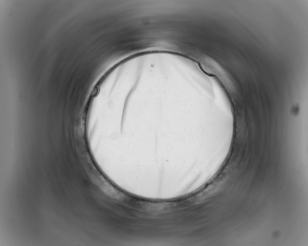 X0000100961292200807221136