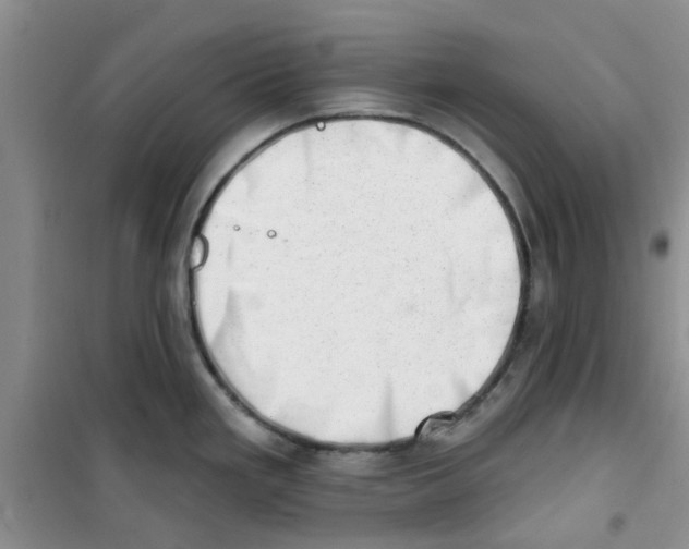 X0000100961293200807221136