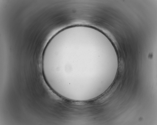 X0000100961295200807221136