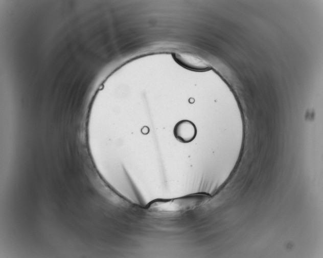 X0000100961296200807221136