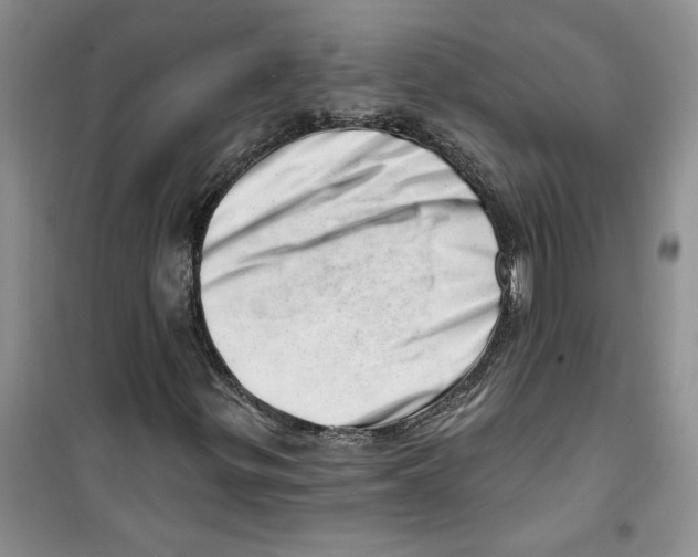 X0000100961299200807221135