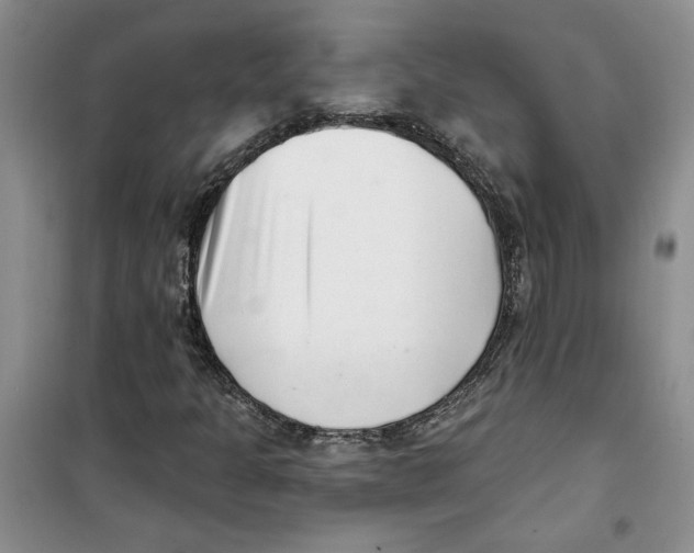 X0000100961301200807221135