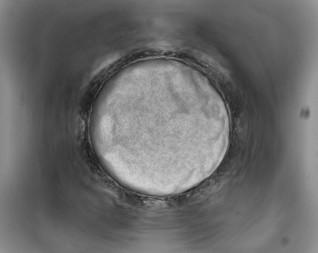 X0000100961302200807221135