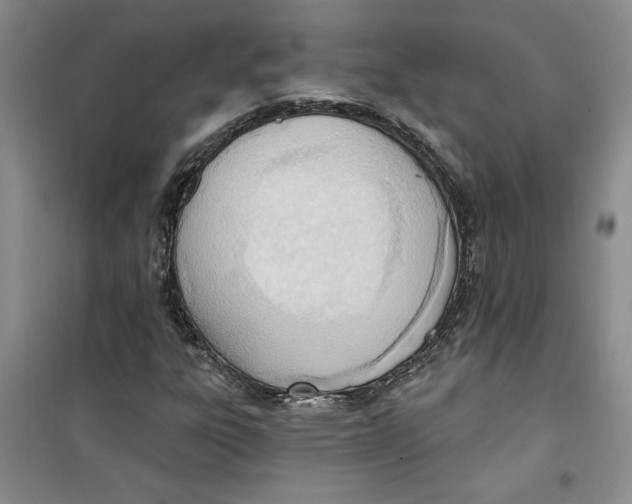 X0000100961303200807221135