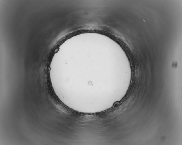 X0000100961304200807221135