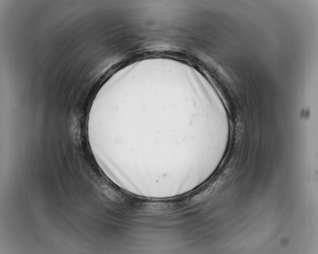 X0000100961305200807221135