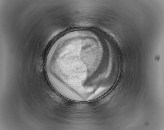 X0000100961306200807221135