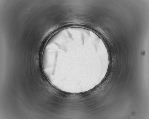 X0000100961307200807221135