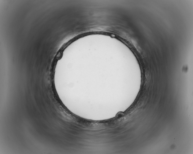 X0000100961308200807221135