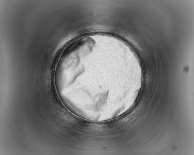 X0000100961309200807221135