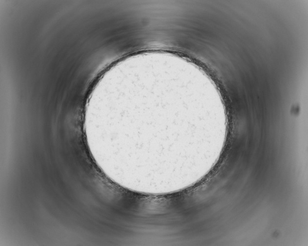 X0000100961314200807221136