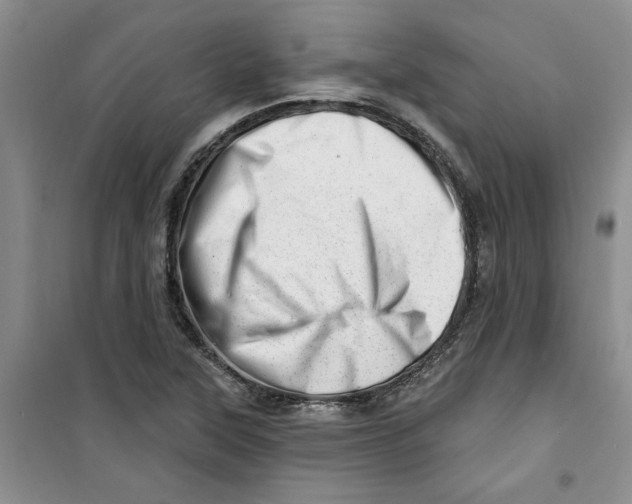 X0000100961315200807221136