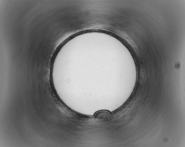 X0000100961316200807221136