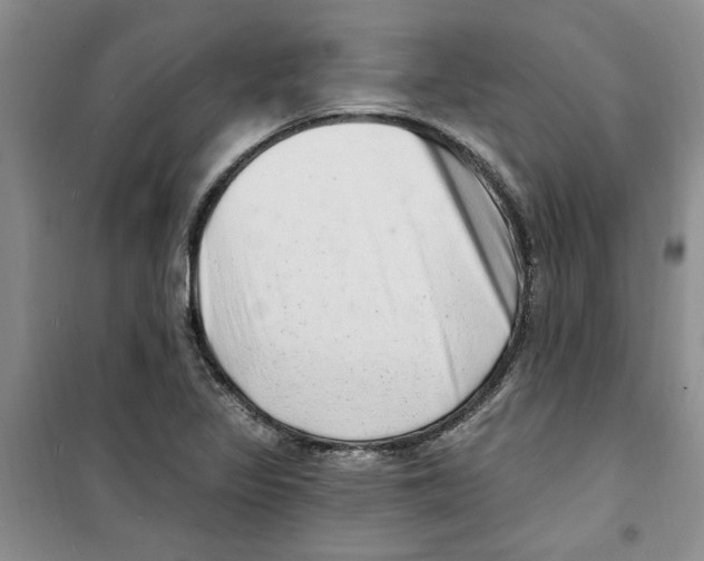 X0000100961317200807221136