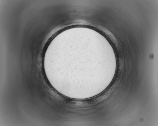 X0000100961318200807221136