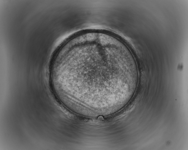 X0000100961319200807221136